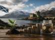 Growing a Business in Scotland Without Wasting Your Marketing Budget