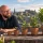 Why Organic Marketing Is a Long-Term Investment in Business Growth